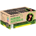 066. Aurora Australis, 88 Schuss